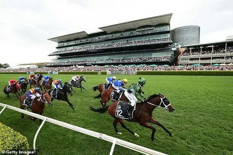 The Ultimate Guide to the Best Horse Racing Betting Platforms in the UK