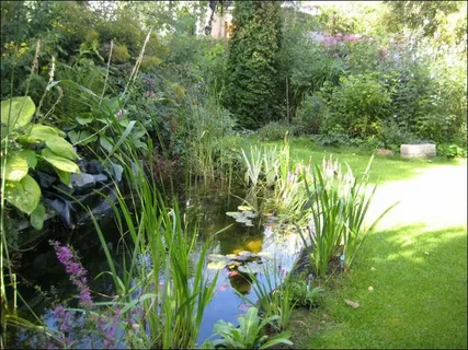 Refreshing and Restoring Garden Ponds across Essex